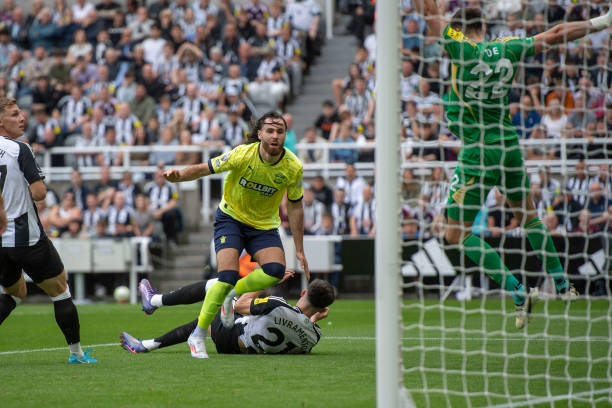 样一种布局 样一种布局